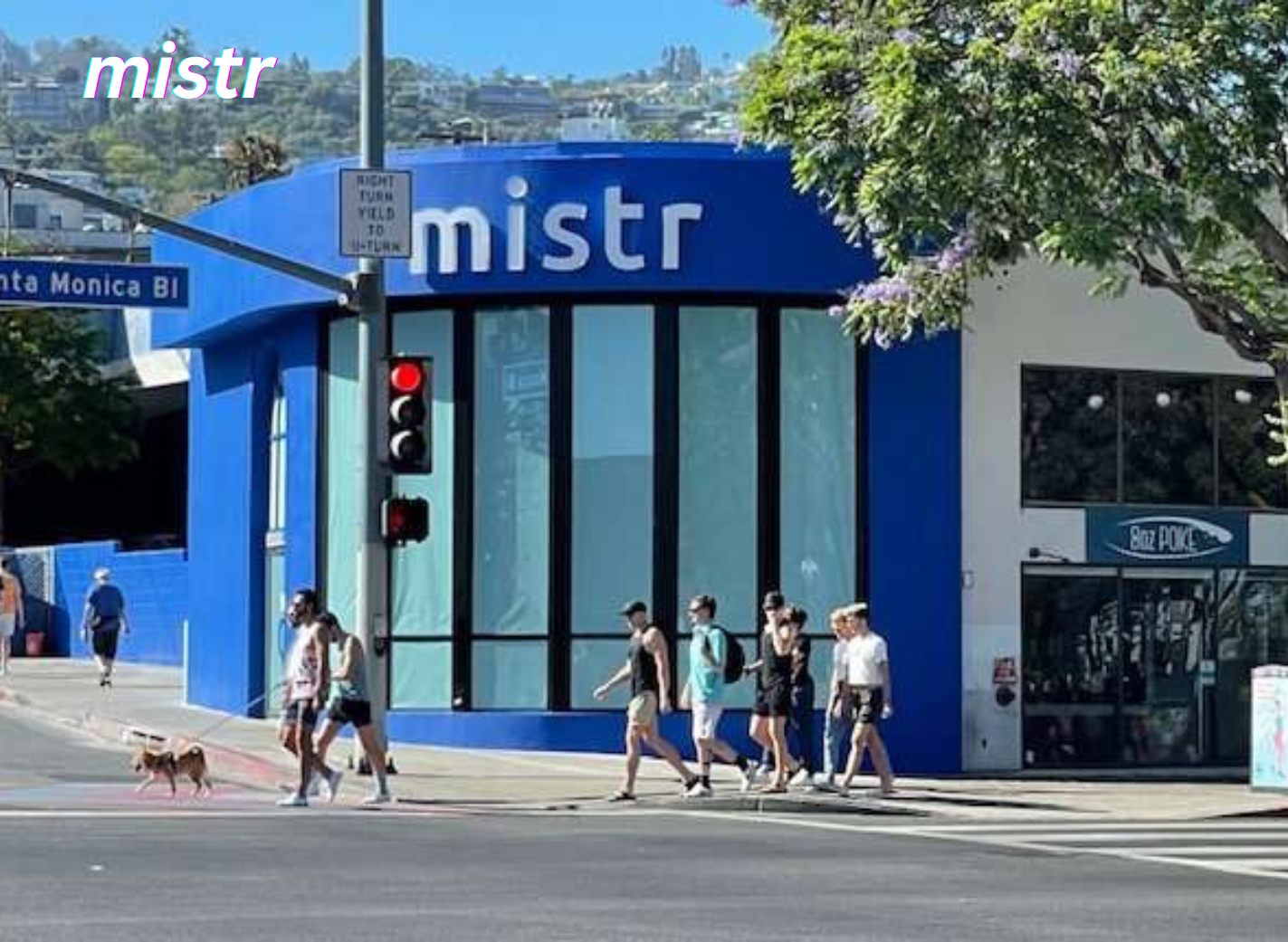 mistr